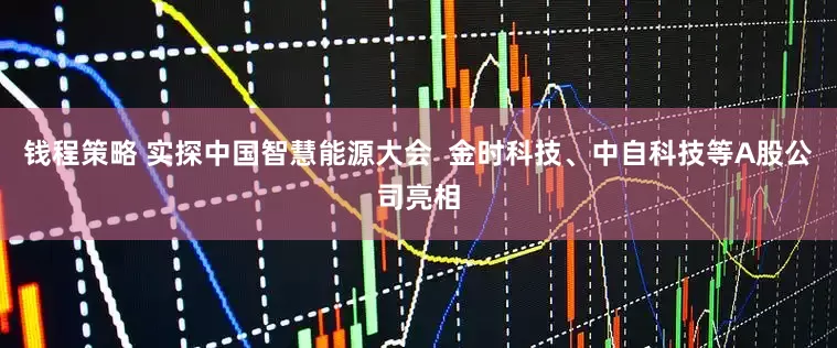 钱程策略 实探中国智慧能源大会  金时科技、中自科技等A股公司亮相
