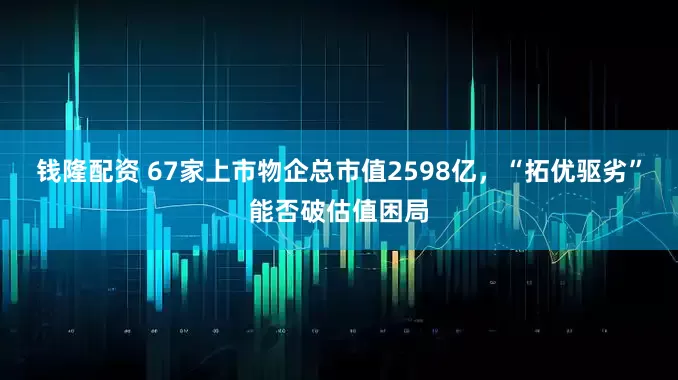 钱隆配资 67家上市物企总市值2598亿，“拓优驱劣”能否破估值困局
