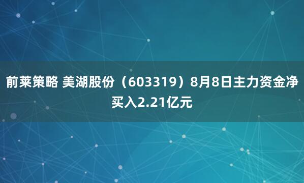 前莱策略 美湖股份（603319）8月8日主力资金净买入2.21亿元