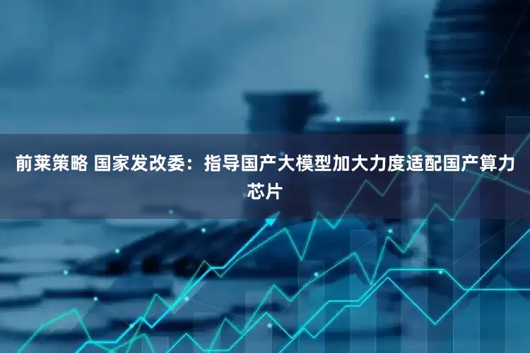 前莱策略 国家发改委：指导国产大模型加大力度适配国产算力芯片